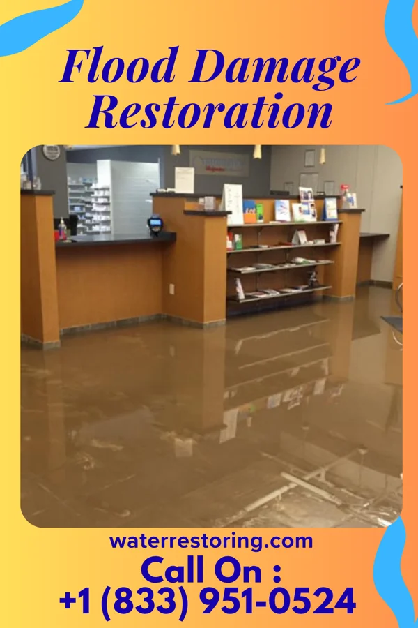 Flood Damage Restoration in Bronson, FL