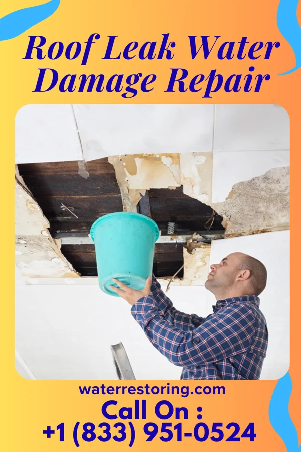 Roof Leak Water Damage Repair in Bronson, FL