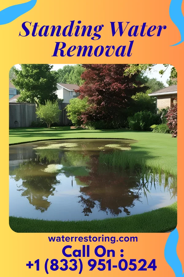 Standing Water Removal in Bronson, FL